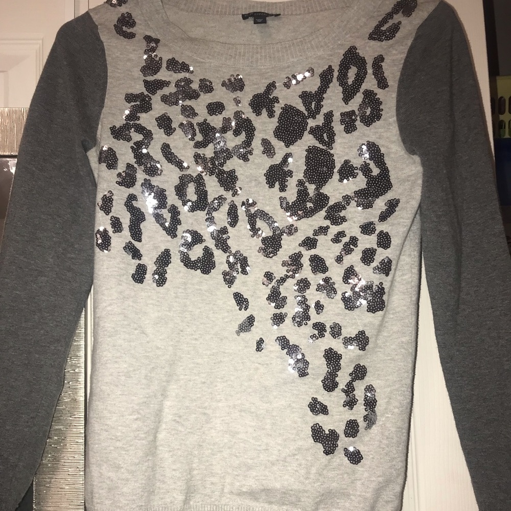 Express Sweater